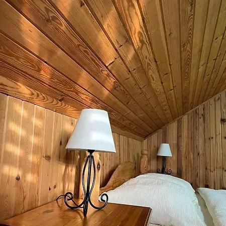 Brvnara Nenadic Holiday home Uzice