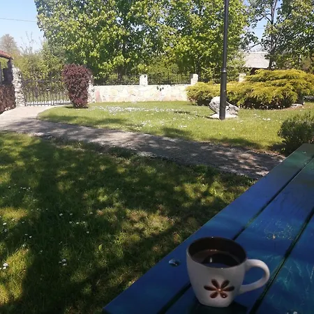 Brvnara Nenadic Holiday home *