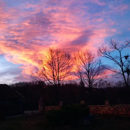 Brvnara Nenadic Holiday home Uzice