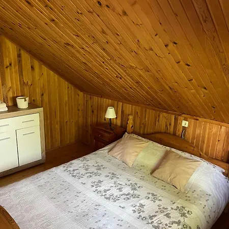 Holiday home Brvnara Nenadic Uzice